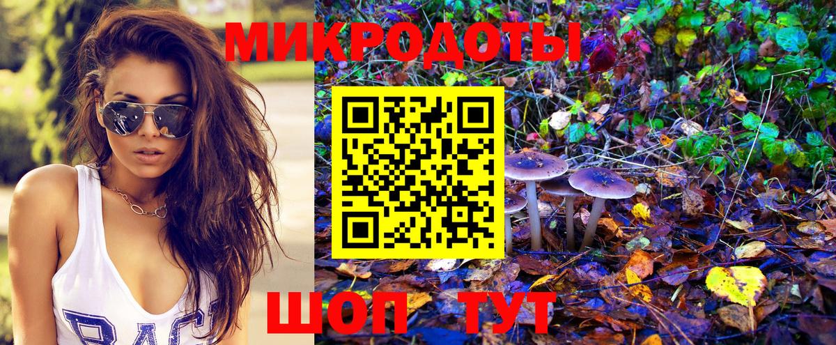 Галлюциногенные грибы Cubensis Аргун